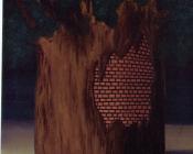 雷内 马格里特 : 森林的起点